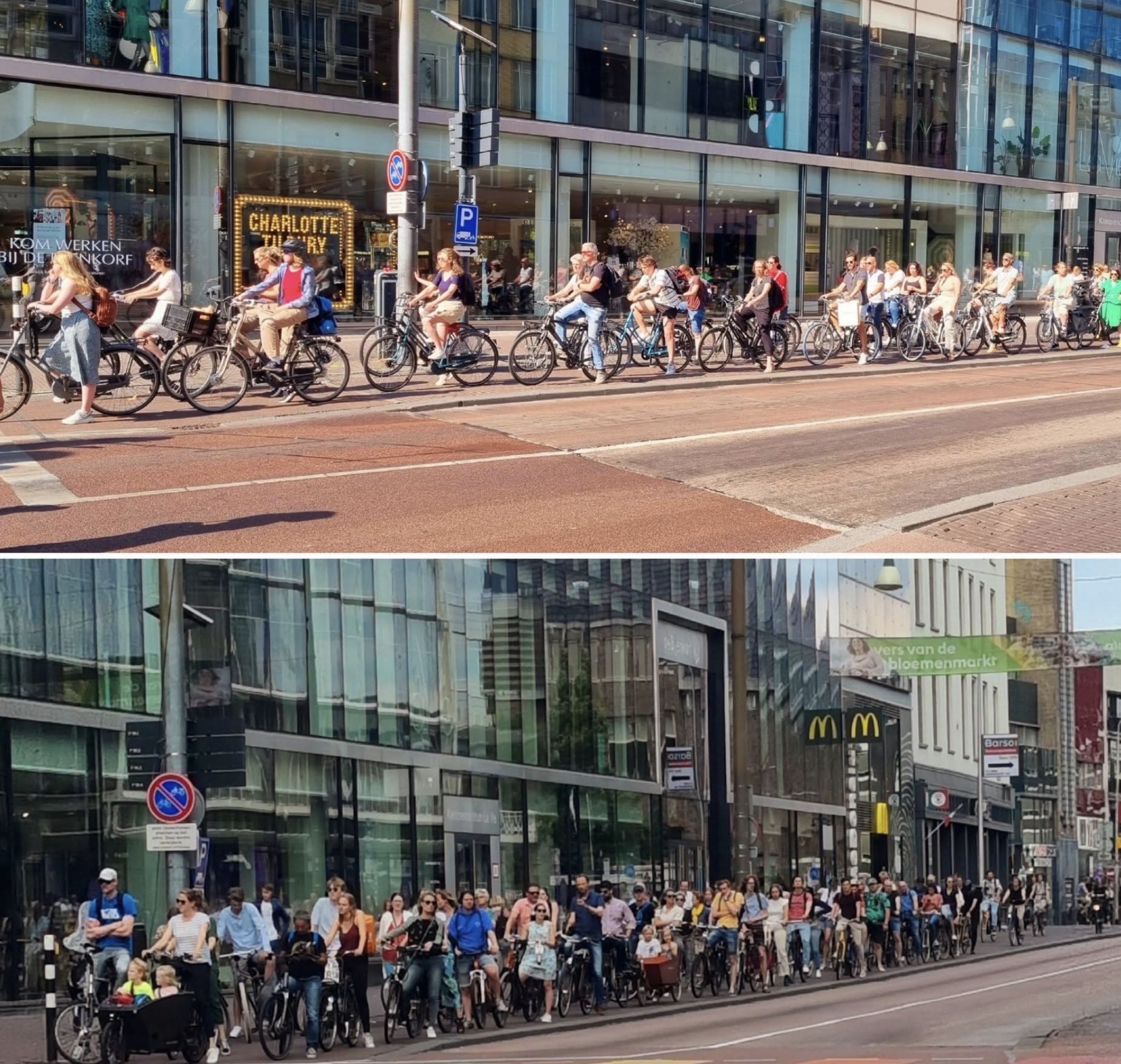 The busiest cycling path in the Netherlands, Vredenburg
