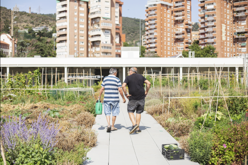 A rooftop garden as social infrastructure